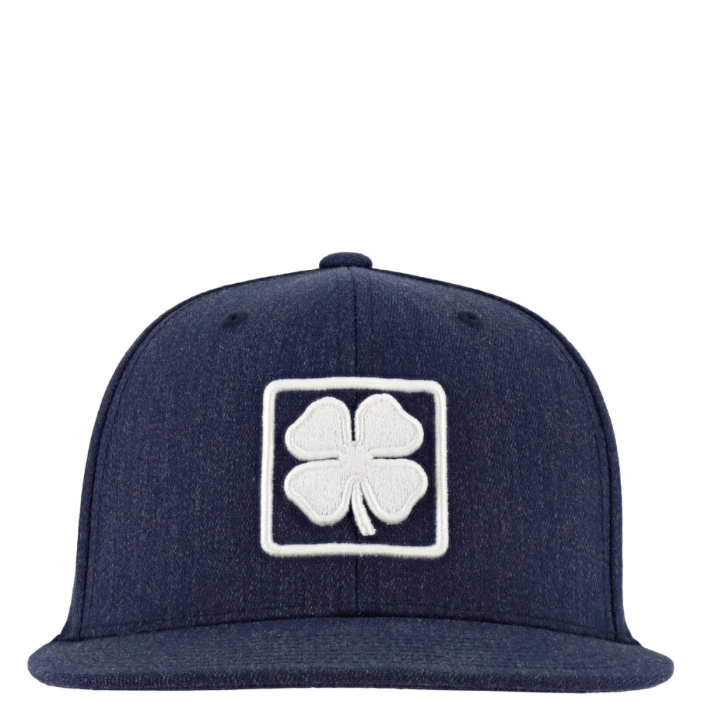 Flat BRIMS S61-A0015_4