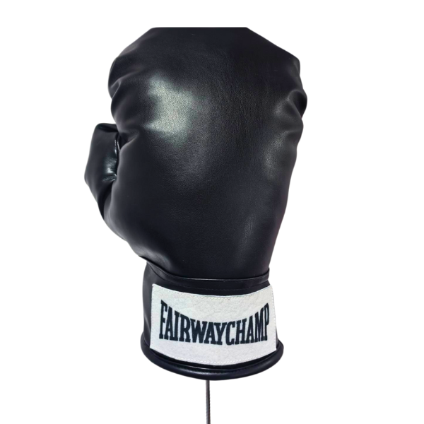 Boxhanschuh Boxhandschuh 10-Z0030_1