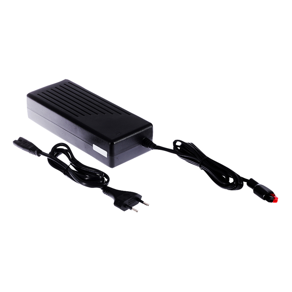 Lithium Charger alte Batterie SP20-A0030-Y